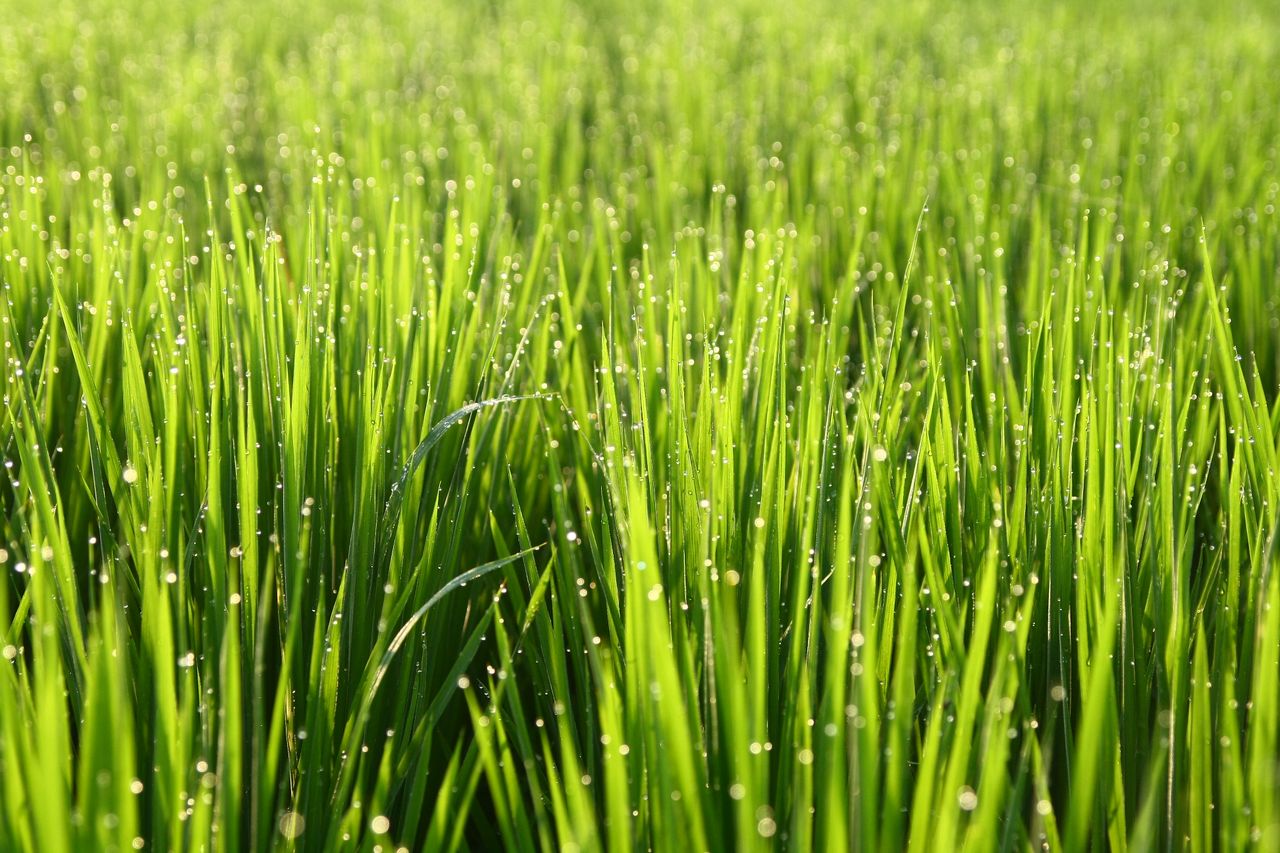 Agriturismo immerso nel verde a Tredozio